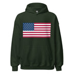 Unisex maroon hoodie featuring American flag design printed across the front chest