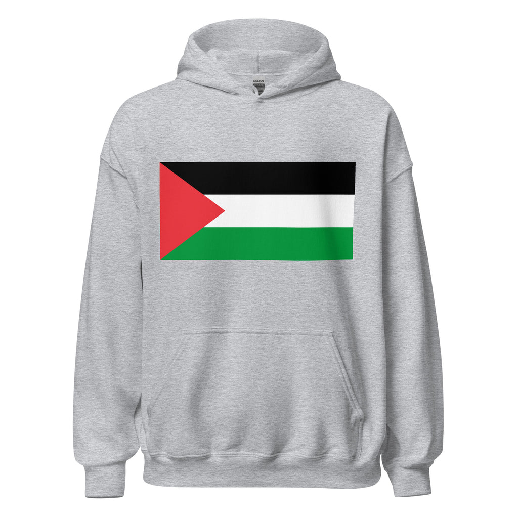 Unisex black hoodie featuring Palestinian flag design printed across the front chest
