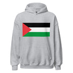 Unisex black hoodie featuring Palestinian flag design printed across the front chest