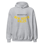 Unisex heather gray hoodie featuring University of New South Wales logo printed across the front chest