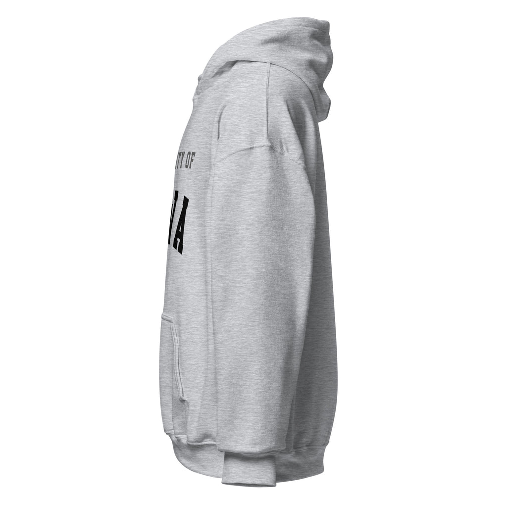 Unisex hoodie featuring University of Iowa name and branding in black and gold