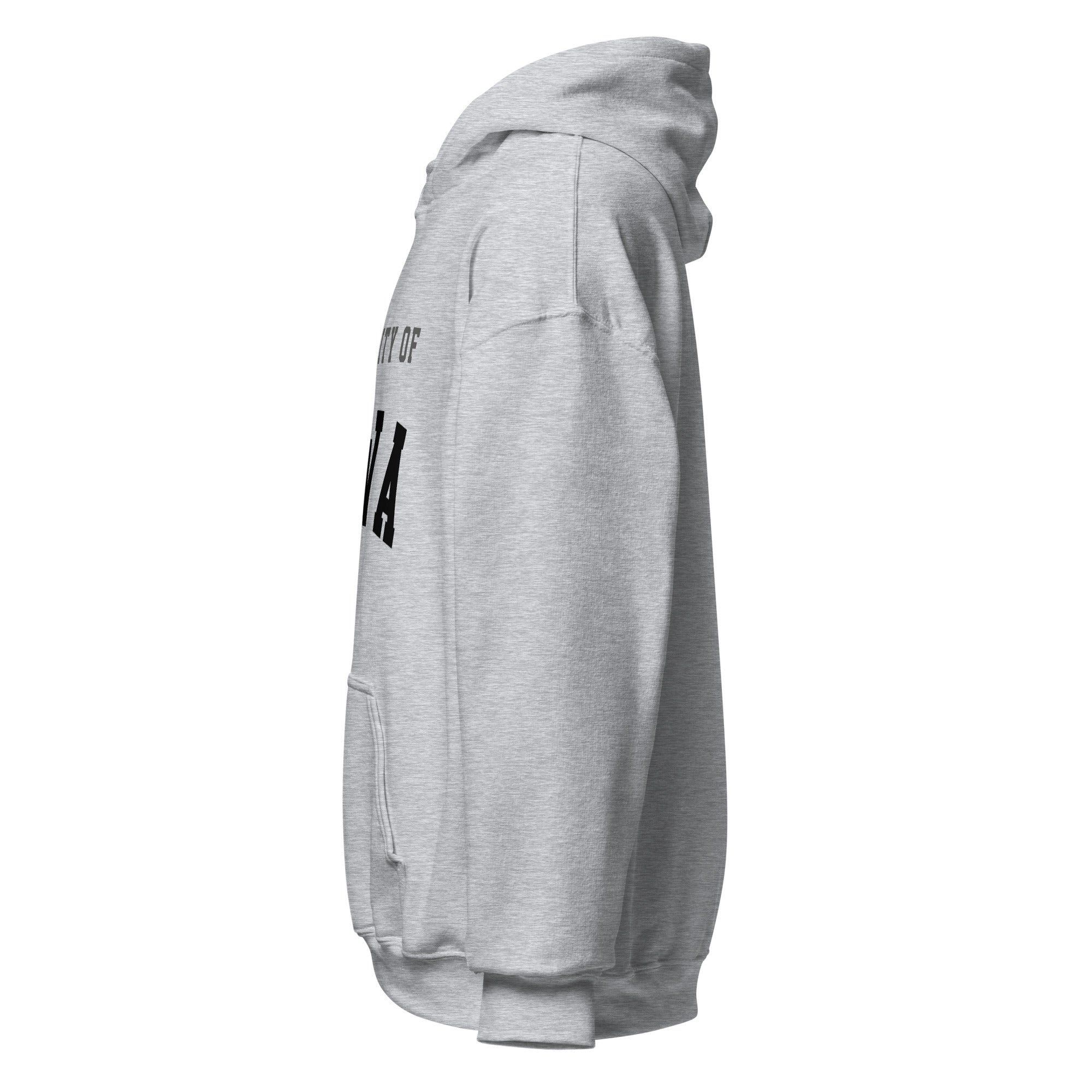 Unisex hoodie featuring University of Iowa name and branding in black and gold