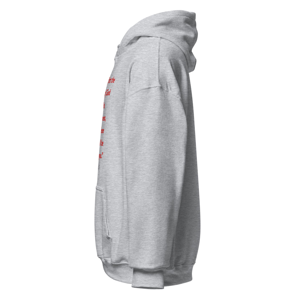 Unisex white hoodie with Matthew 6:33 Bible verse printed in red text on front