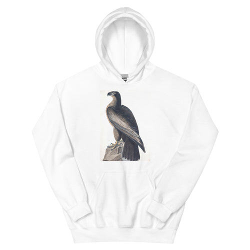 Unisex hoodie featuring Audubon's detailed naturalist illustration of the Bird of Washington