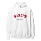 Unisex heather gray hoodie featuring Bangor University logo printed across the front chest