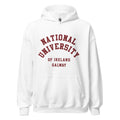 Unisex heather gray hoodie featuring National University of Ireland Galway logo printed across the front chest