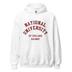 Unisex heather gray hoodie featuring National University of Ireland Galway logo printed across the front chest