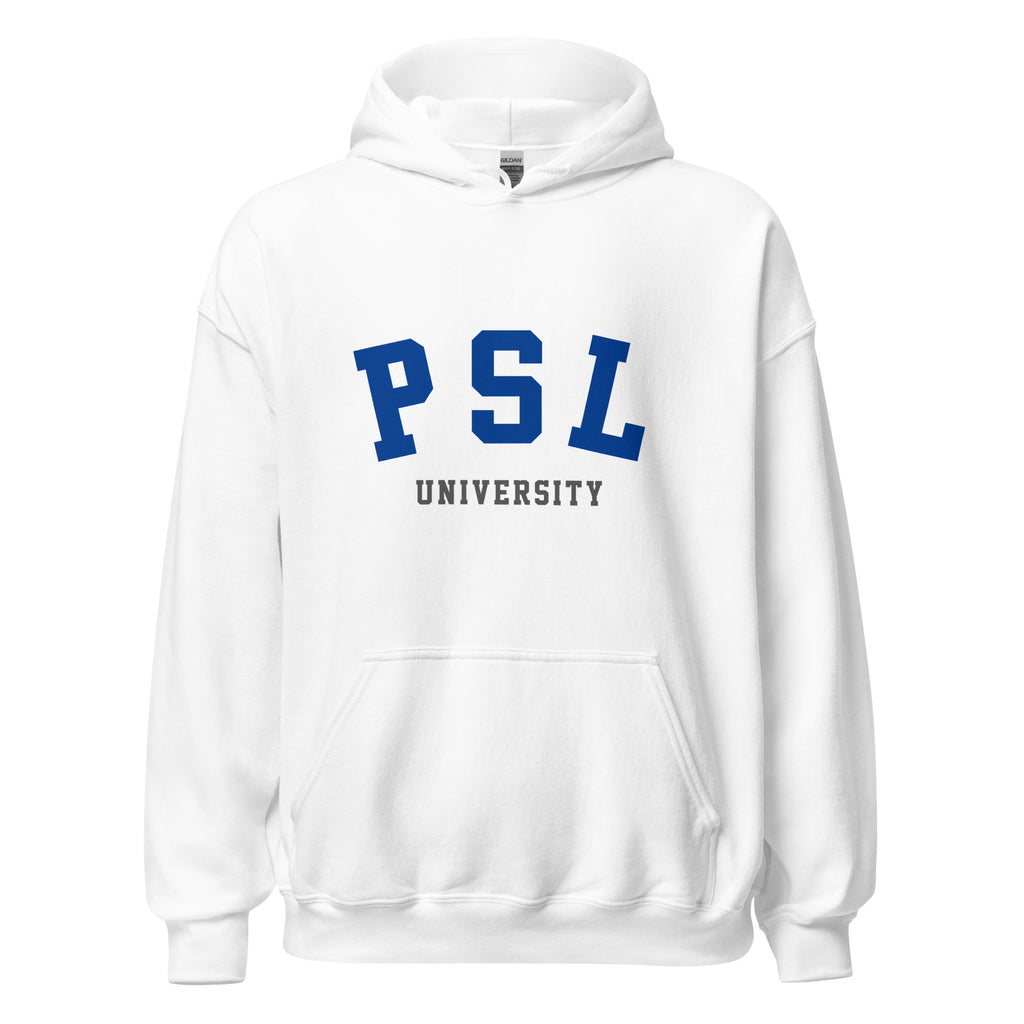 Unisex heather gray hoodie featuring Université PSL logo printed across the front chest