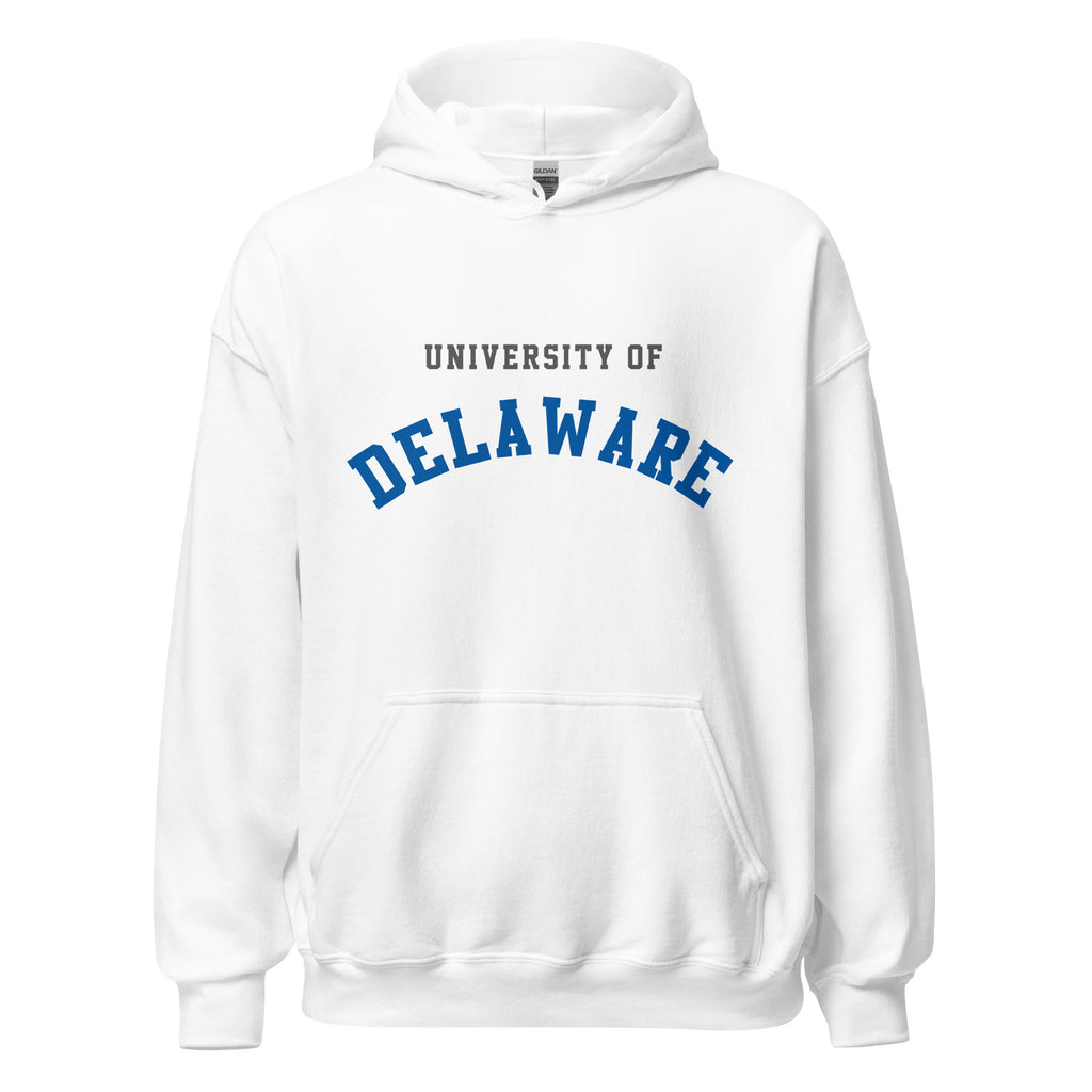 Unisex heather gray hoodie featuring University of Delaware logo printed across the front chest