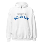 Unisex heather gray hoodie featuring University of Delaware logo printed across the front chest