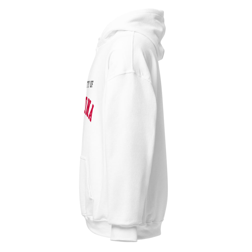 Unisex hoodie featuring University of Arizona name and branding in cardinal and navy