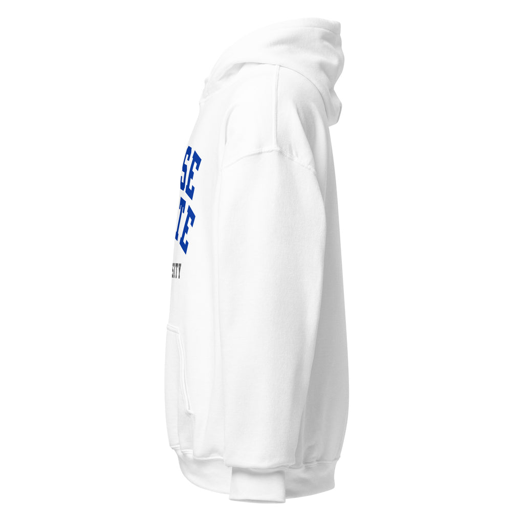 Unisex hoodie featuring Boise State University name and branding in blue and orange